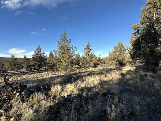 Canvasback Dr 5 Property Photo 10