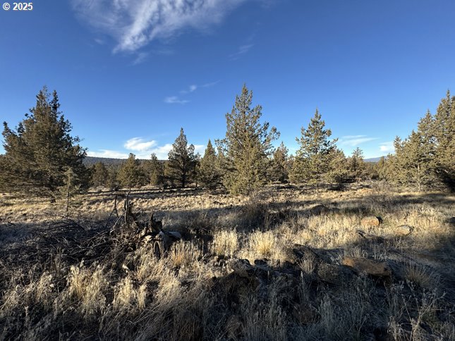 Canvasback Dr 5 Property Photo 11