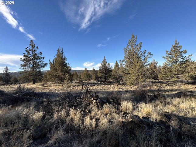 Canvasback Dr 5 Property Photo 12