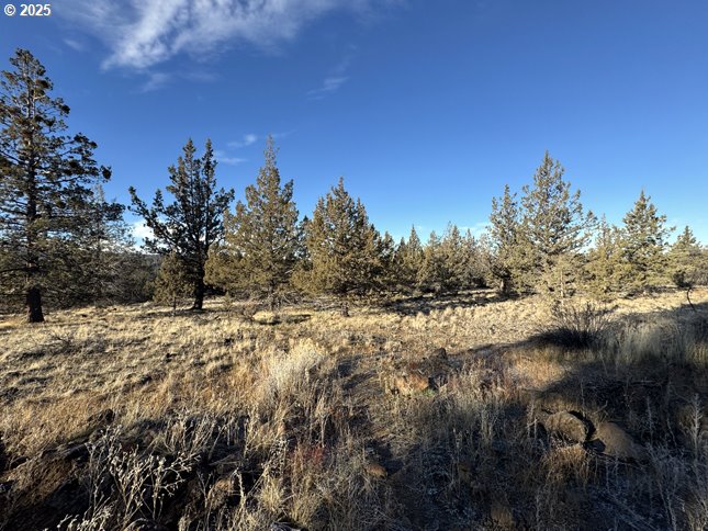 Canvasback Dr 5 Property Photo 13