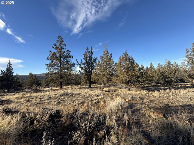 Canvasback Dr 5 Property Photo 14