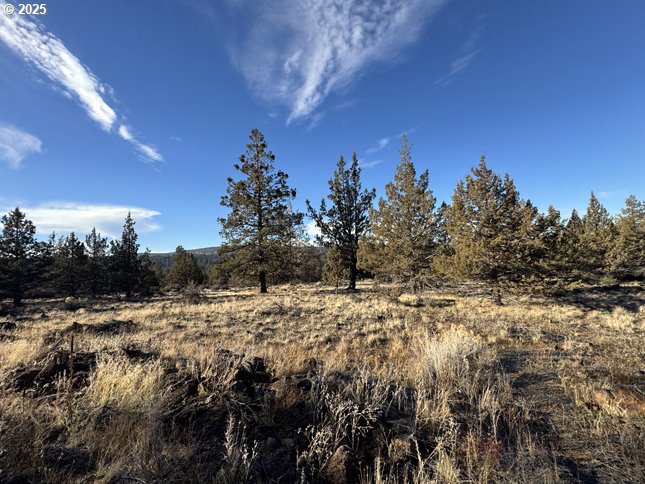 Canvasback Dr 5 Property Photo 15