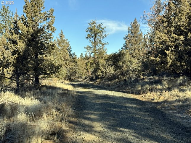 Canvasback Dr 5 Property Photo 17