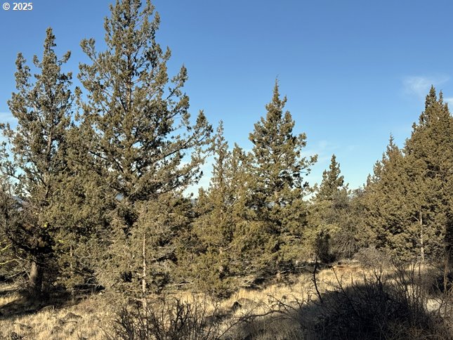 Canvasback Dr 5 Property Photo 18
