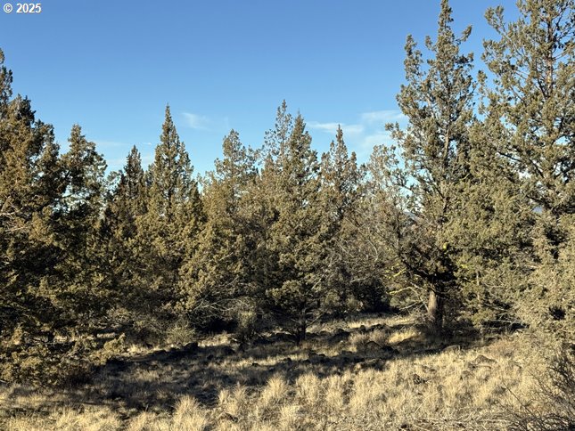 Canvasback Dr 5 Property Photo 19