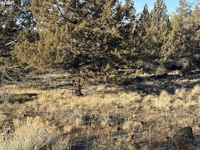 Canvasback Dr 5 Property Photo 20