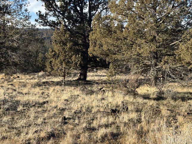 Canvasback Dr 5 Property Photo 21