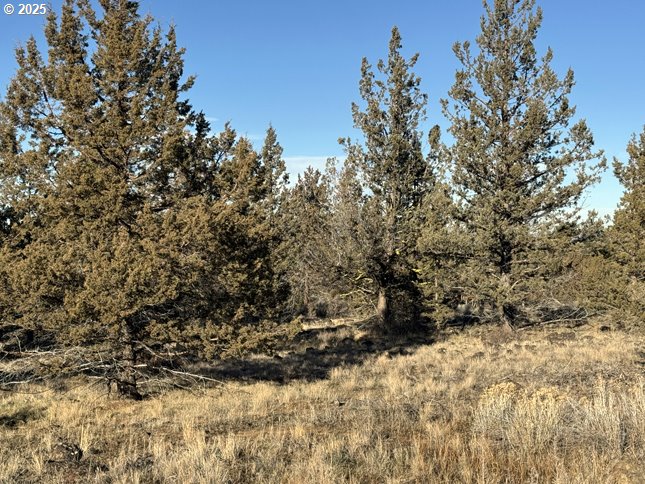 Canvasback Dr 5 Property Photo 22