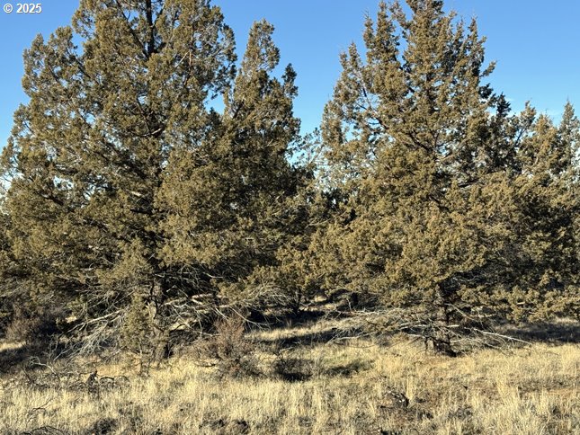 Canvasback Dr 5 Property Photo 23
