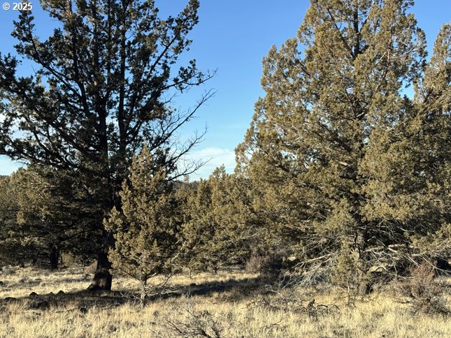 Canvasback Dr 5 Property Photo 24