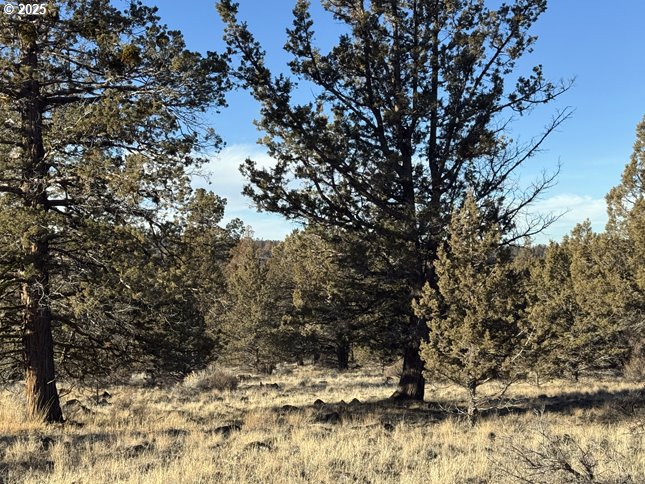 Canvasback Dr 5 Property Photo 25