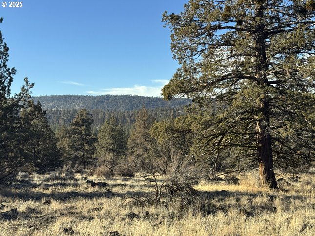 Canvasback Dr 5 Property Photo 27