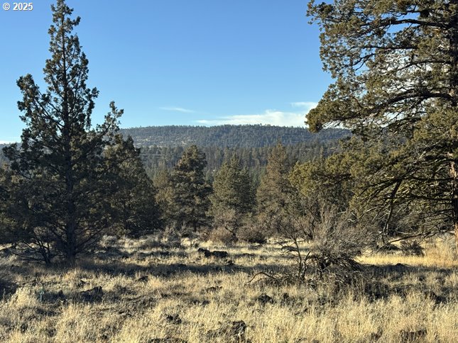 Canvasback Dr 5 Property Photo 28