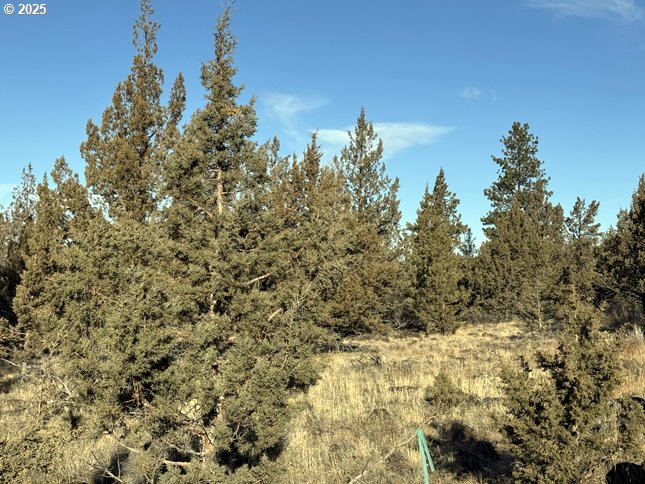 Canvasback Dr 5 Property Photo 29