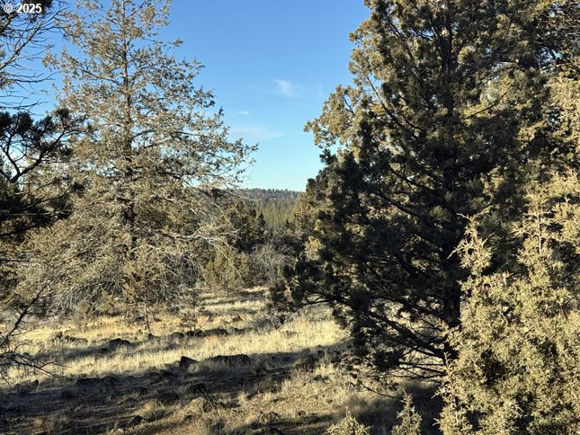 Canvasback Dr 5 Property Photo 31