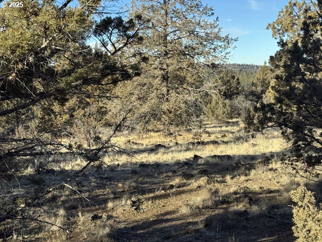 Canvasback Dr 5 Property Photo 32