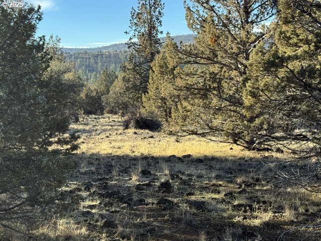 Canvasback Dr 5 Property Photo 33