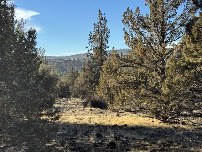 Canvasback Dr 5 Property Photo 35
