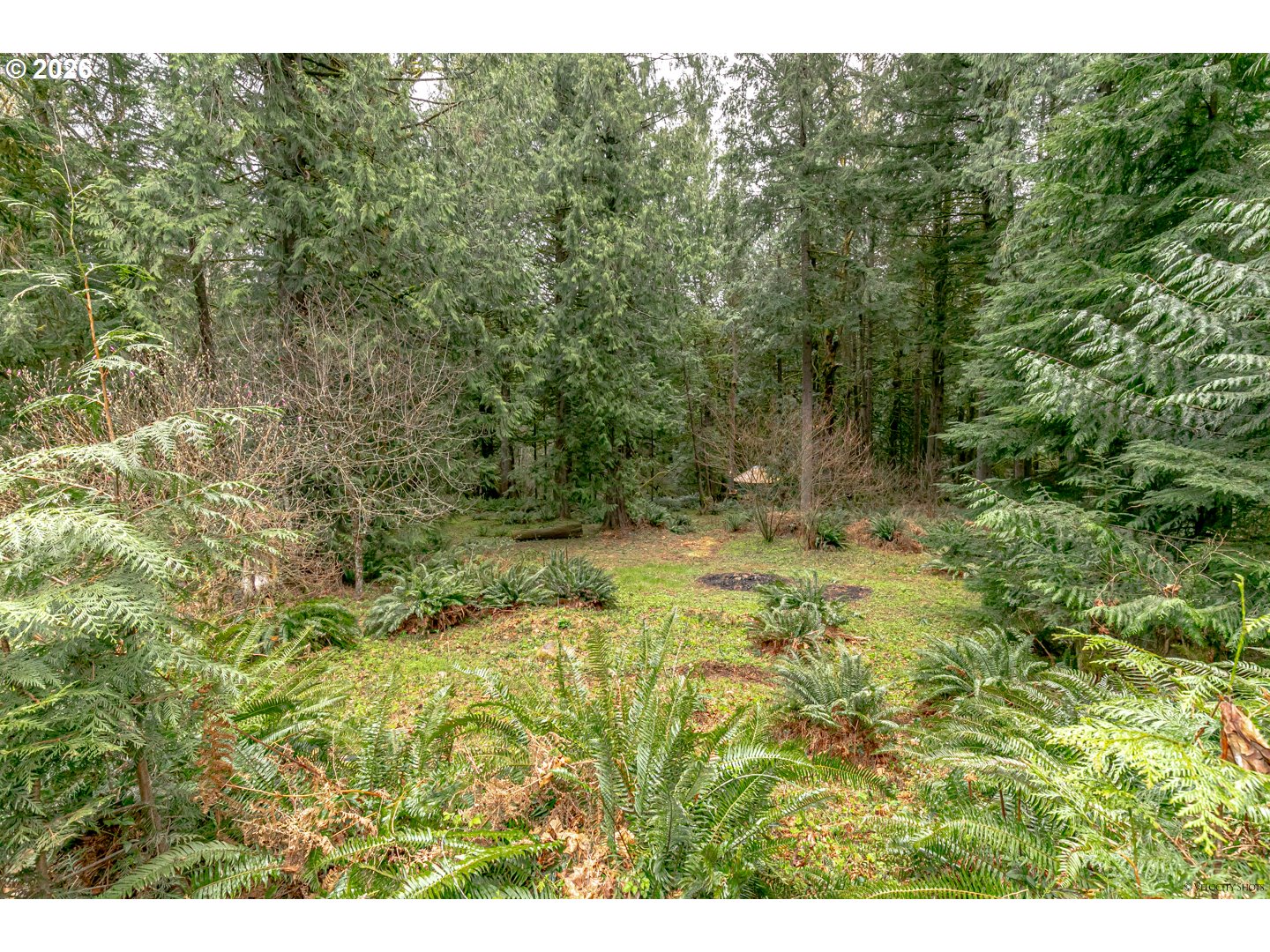 53221 E Marmot Rd Property Photo 30