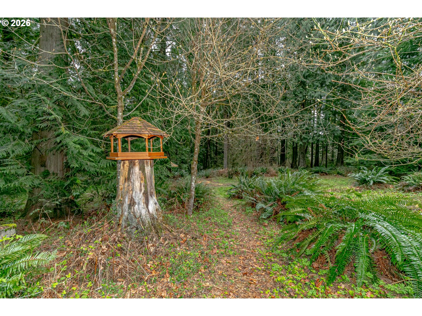 53221 E Marmot Rd Property Photo 31