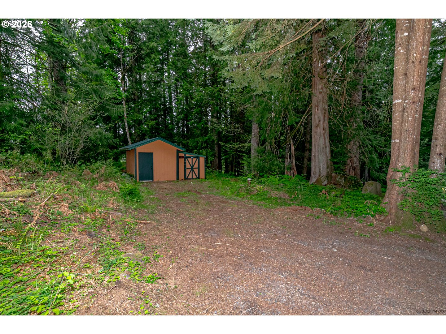 53221 E Marmot Rd Property Photo 41