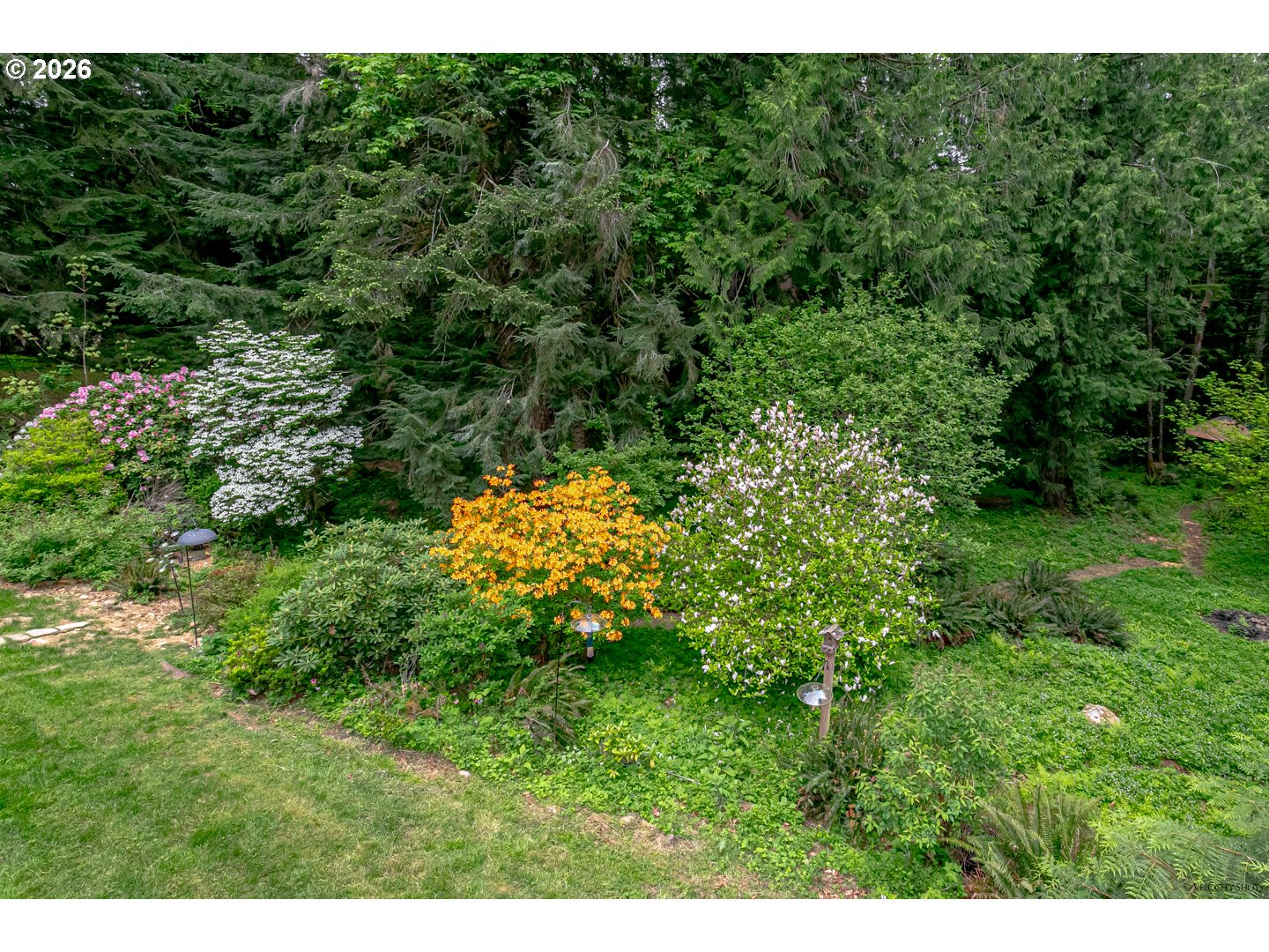 53221 E Marmot Rd Property Photo 43