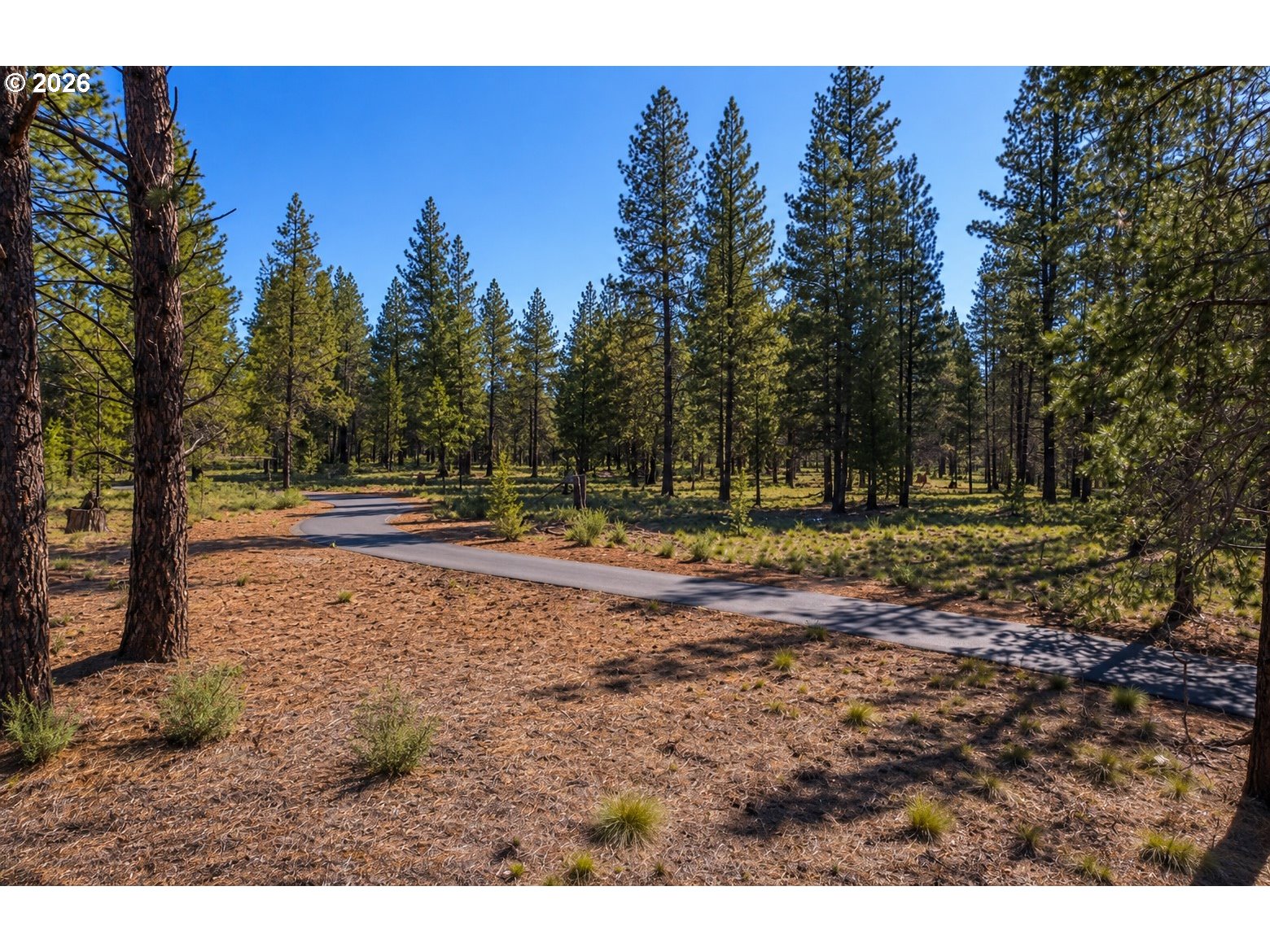 56385 Trailmere Cir 319 Property Photo 11
