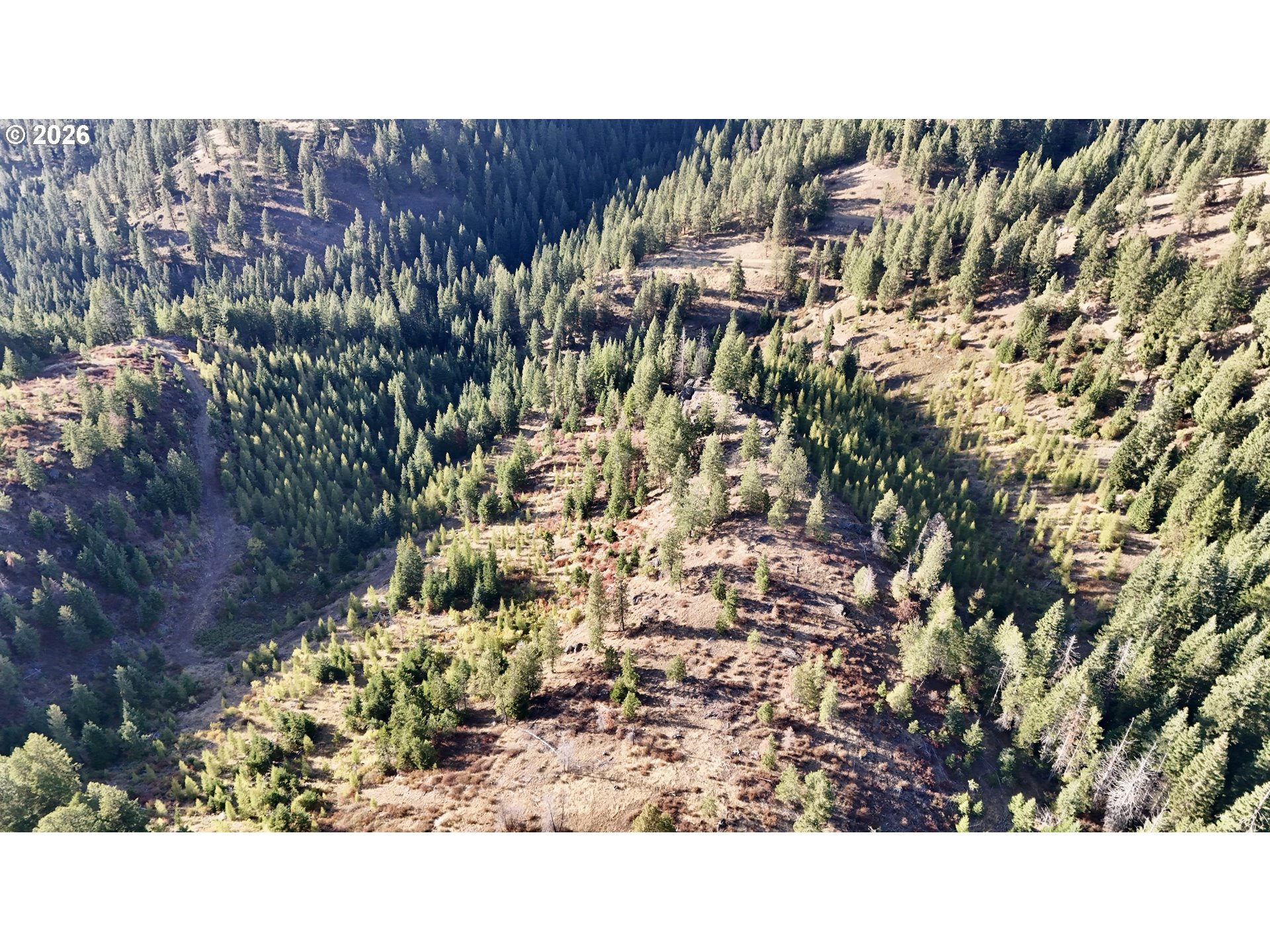 0 Usfs 2036 Property Photo 3