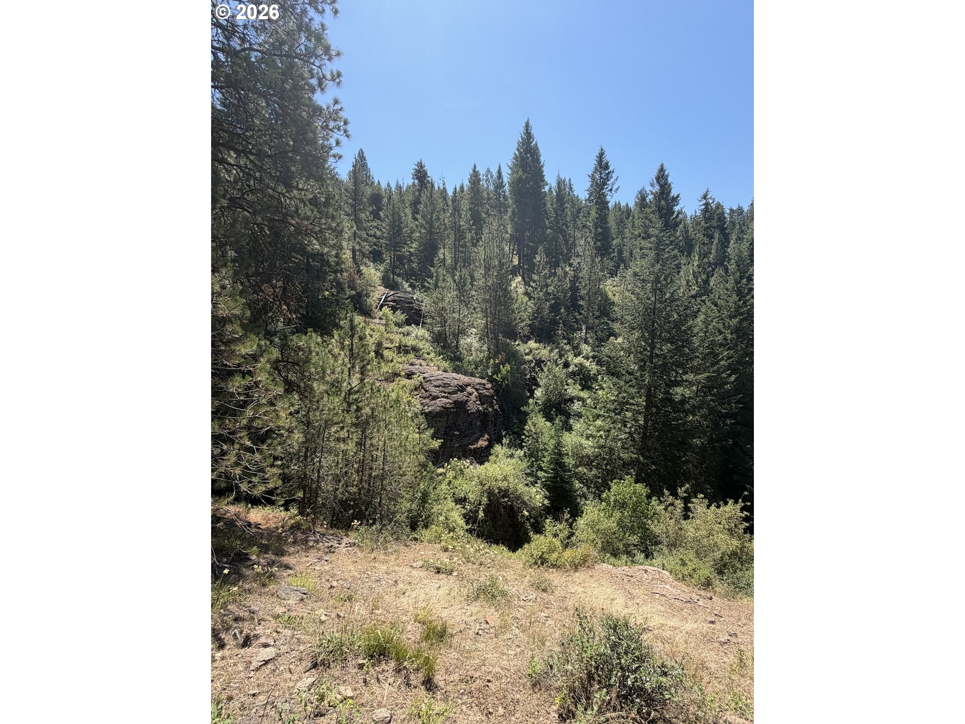0 Usfs 2036 Property Photo 4