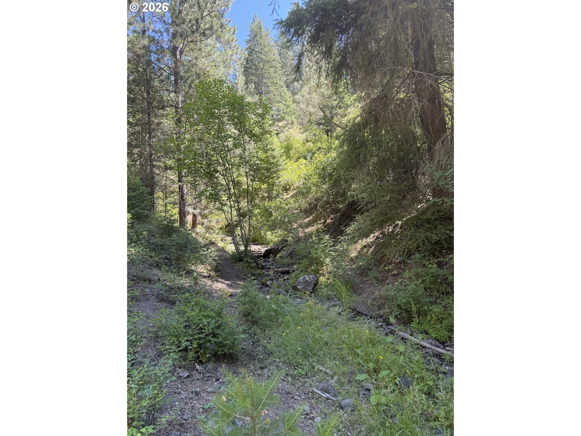 0 Usfs 2036 Property Photo 5
