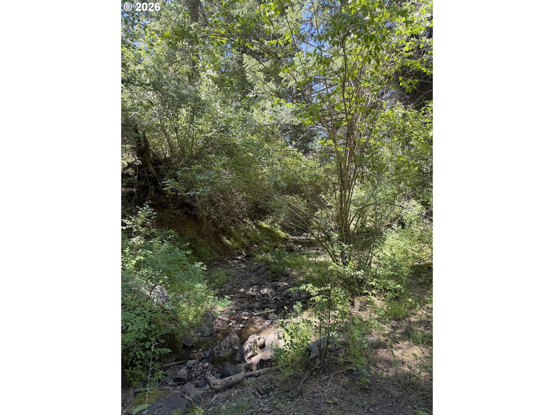 0 Usfs 2036 Property Photo 6