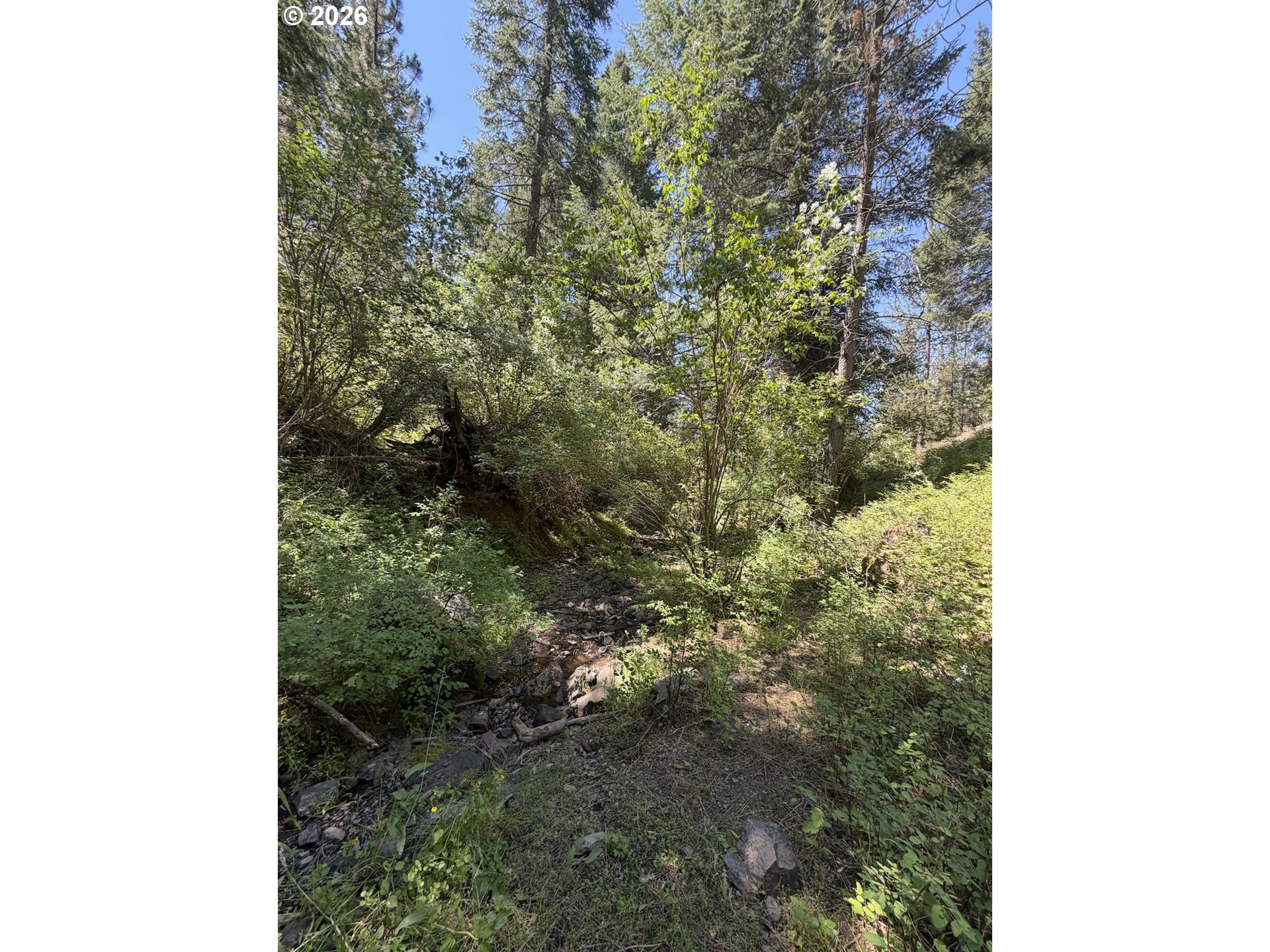 0 Usfs 2036 Property Photo 7