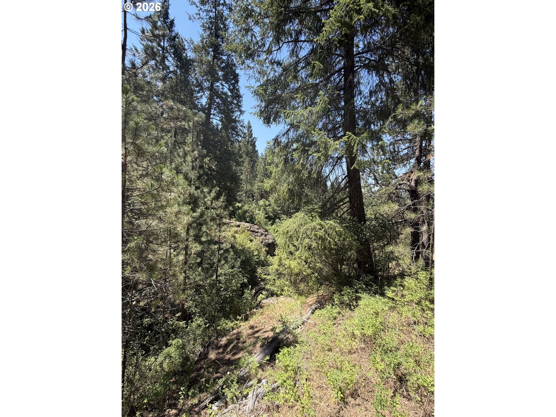 0 Usfs 2036 Property Photo 8