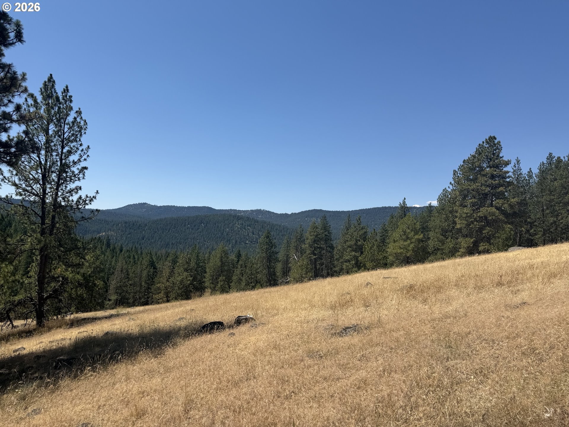 0 Usfs 2036 Property Photo 9