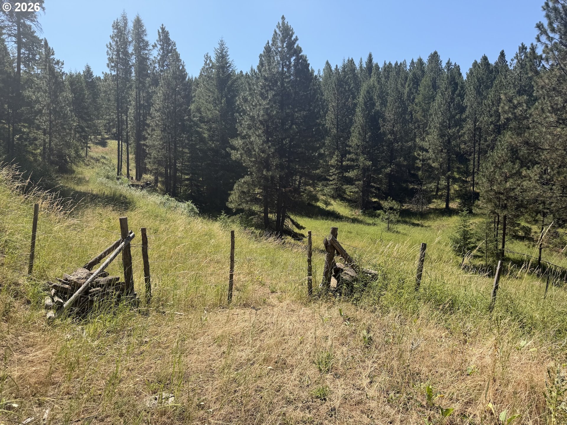 0 Usfs 2036 Property Photo 14