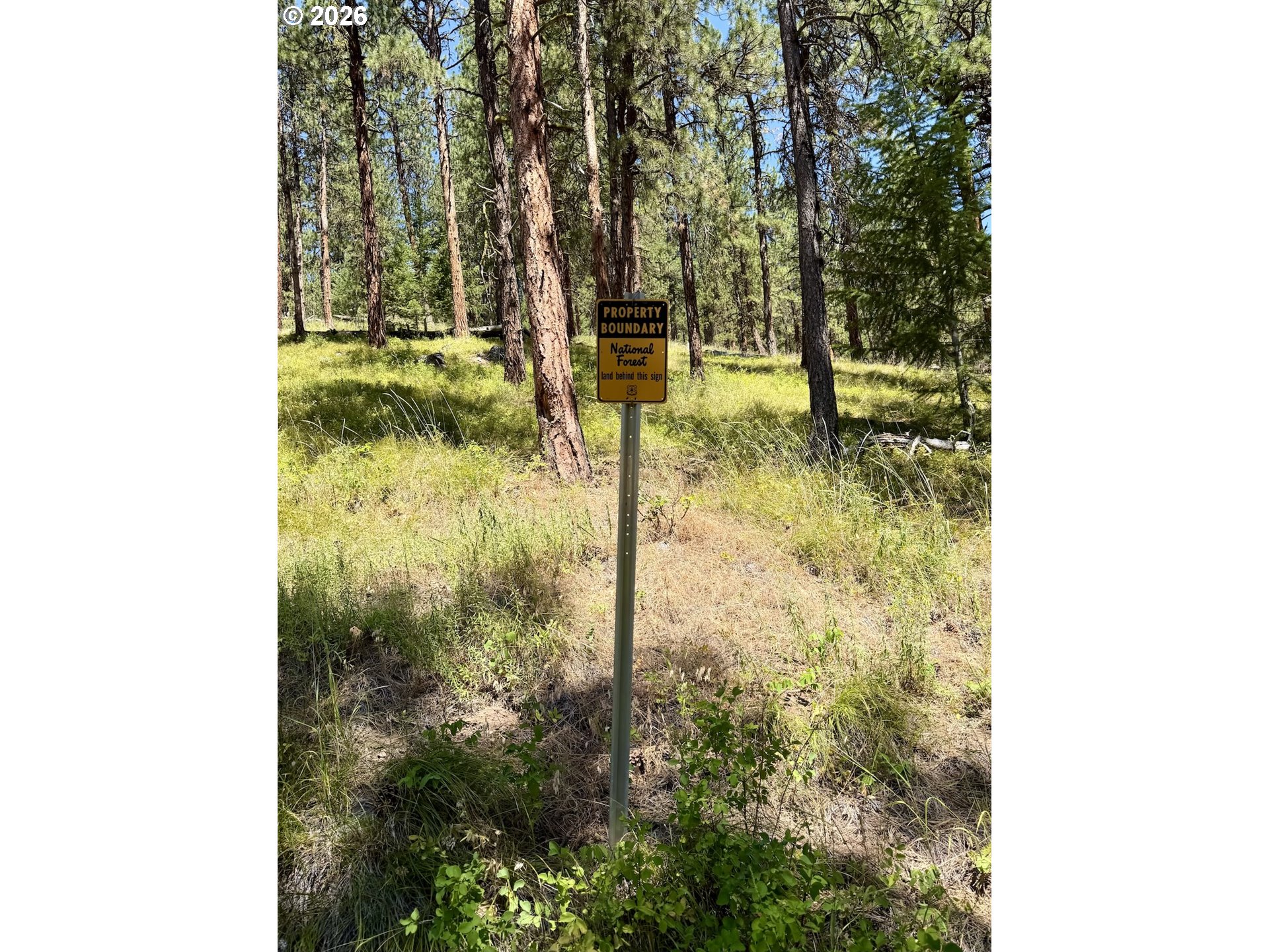 0 Usfs 2036 Property Photo 15