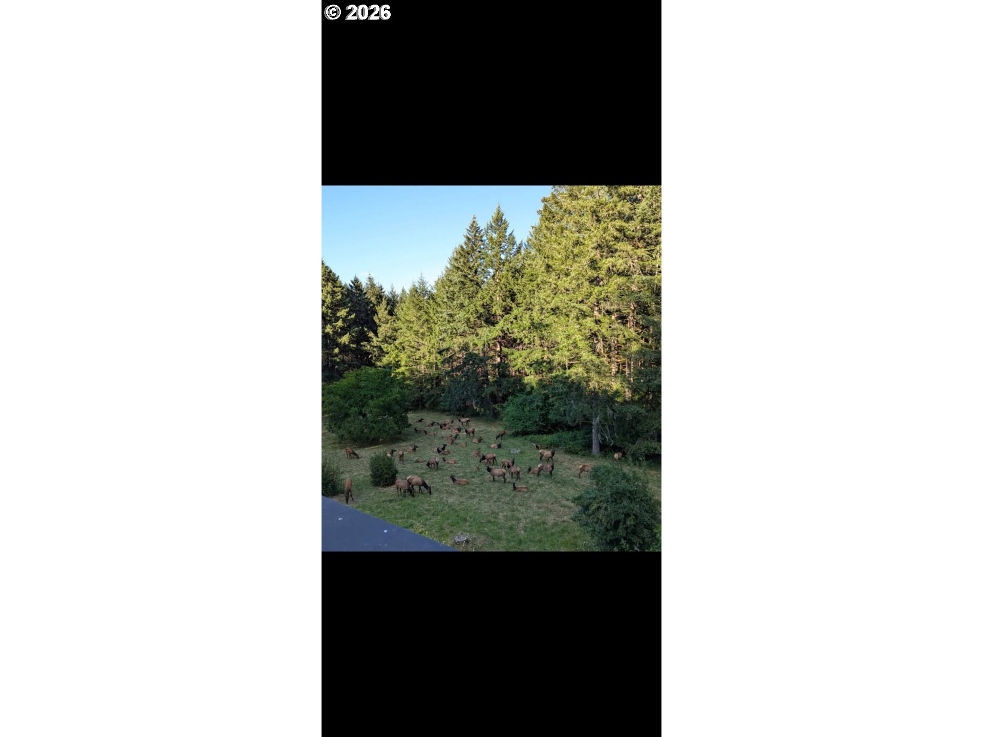 18520 Sw Rock Creek Rd Property Photo 41