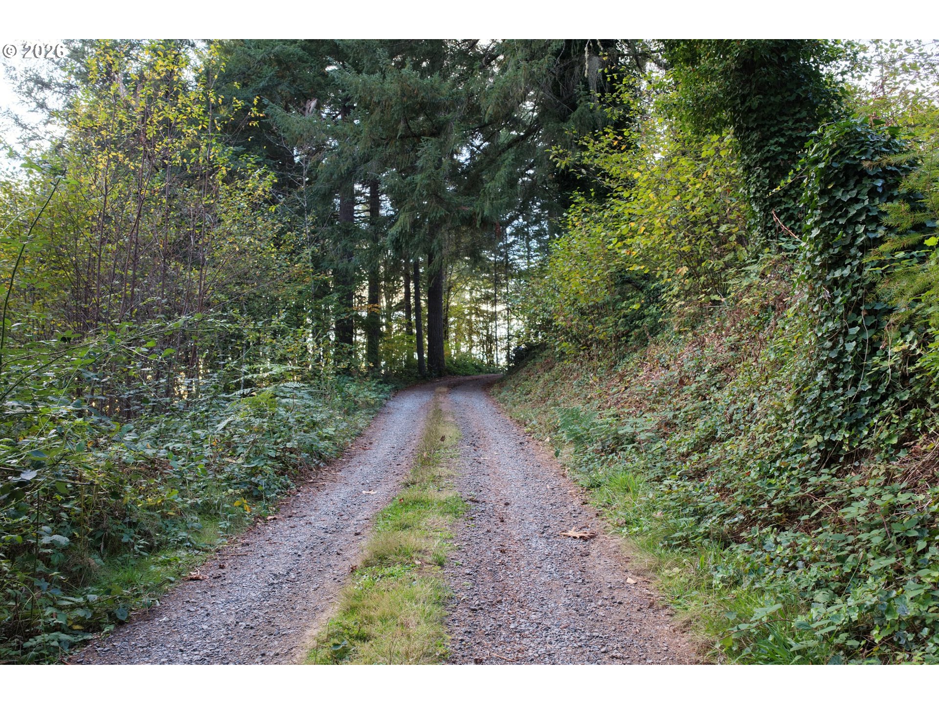 17808 Ne Cedar Creek Rd Property Photo 3