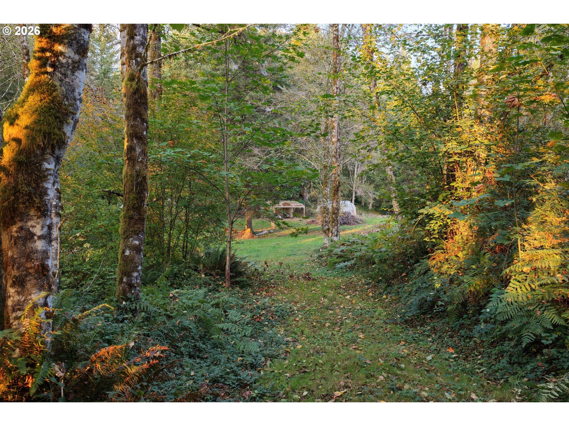 17808 Ne Cedar Creek Rd Property Photo 5