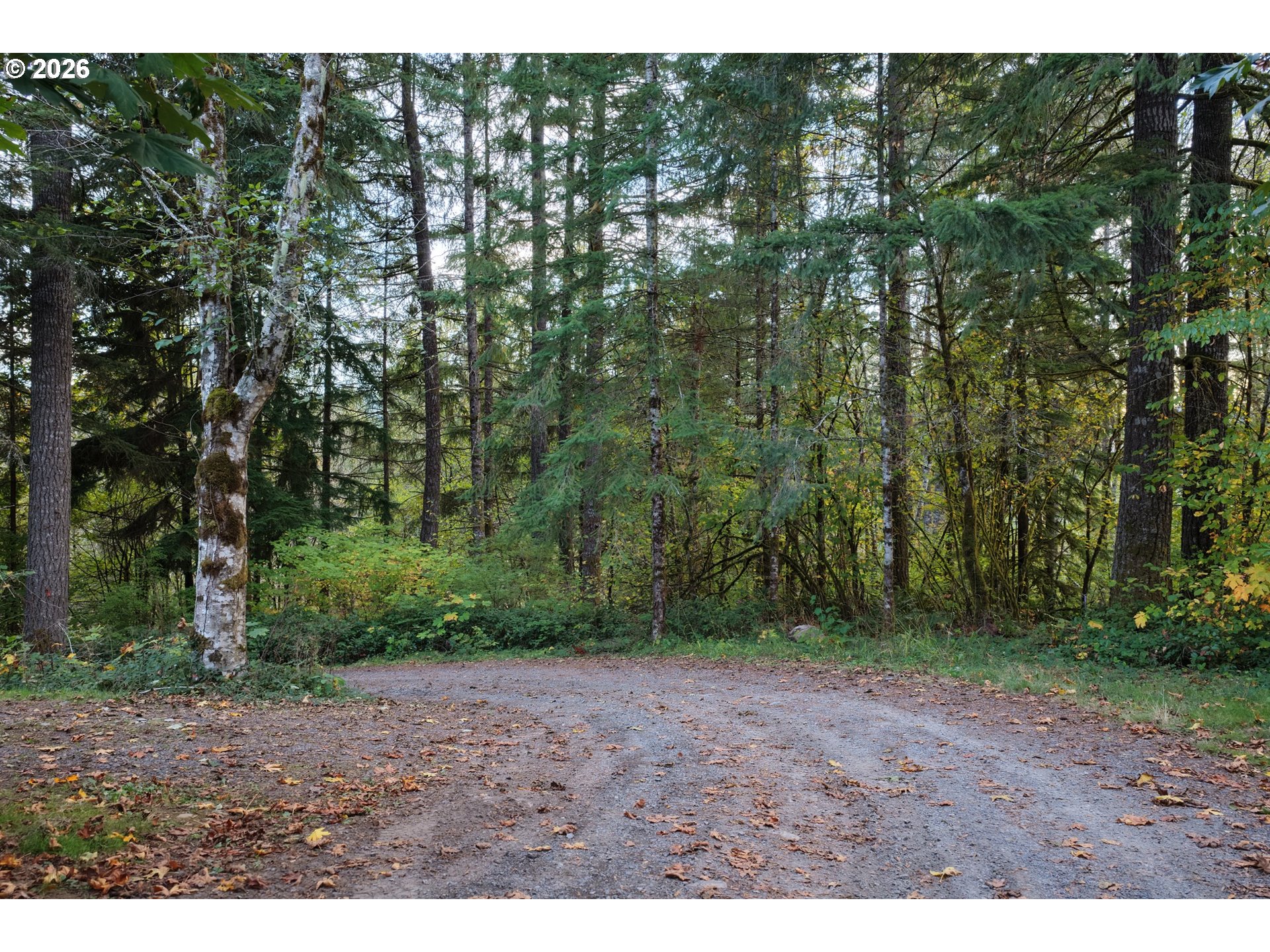 17808 Ne Cedar Creek Rd Property Photo 7