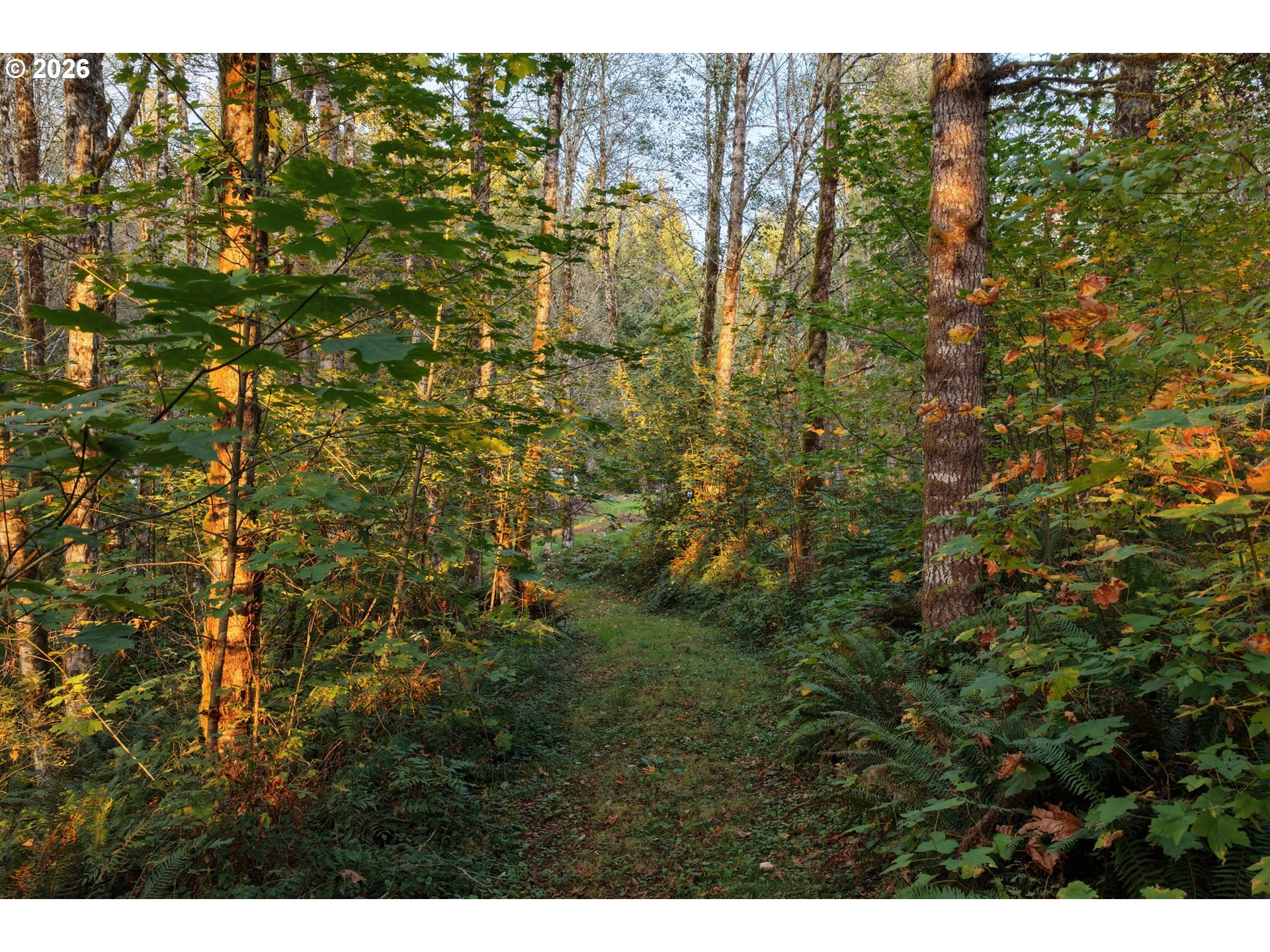 17808 Ne Cedar Creek Rd Property Photo 8