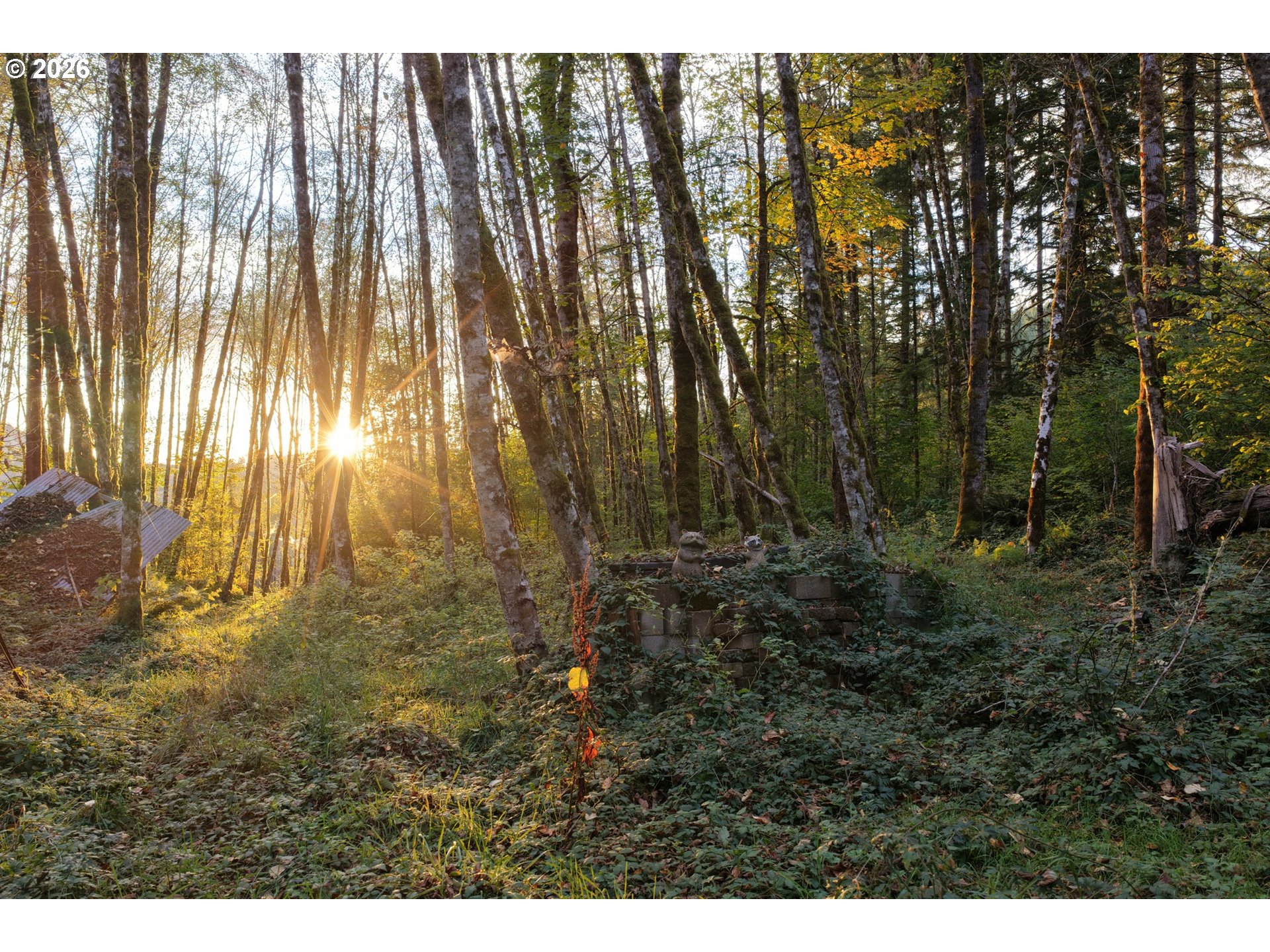 17808 Ne Cedar Creek Rd Property Photo 9