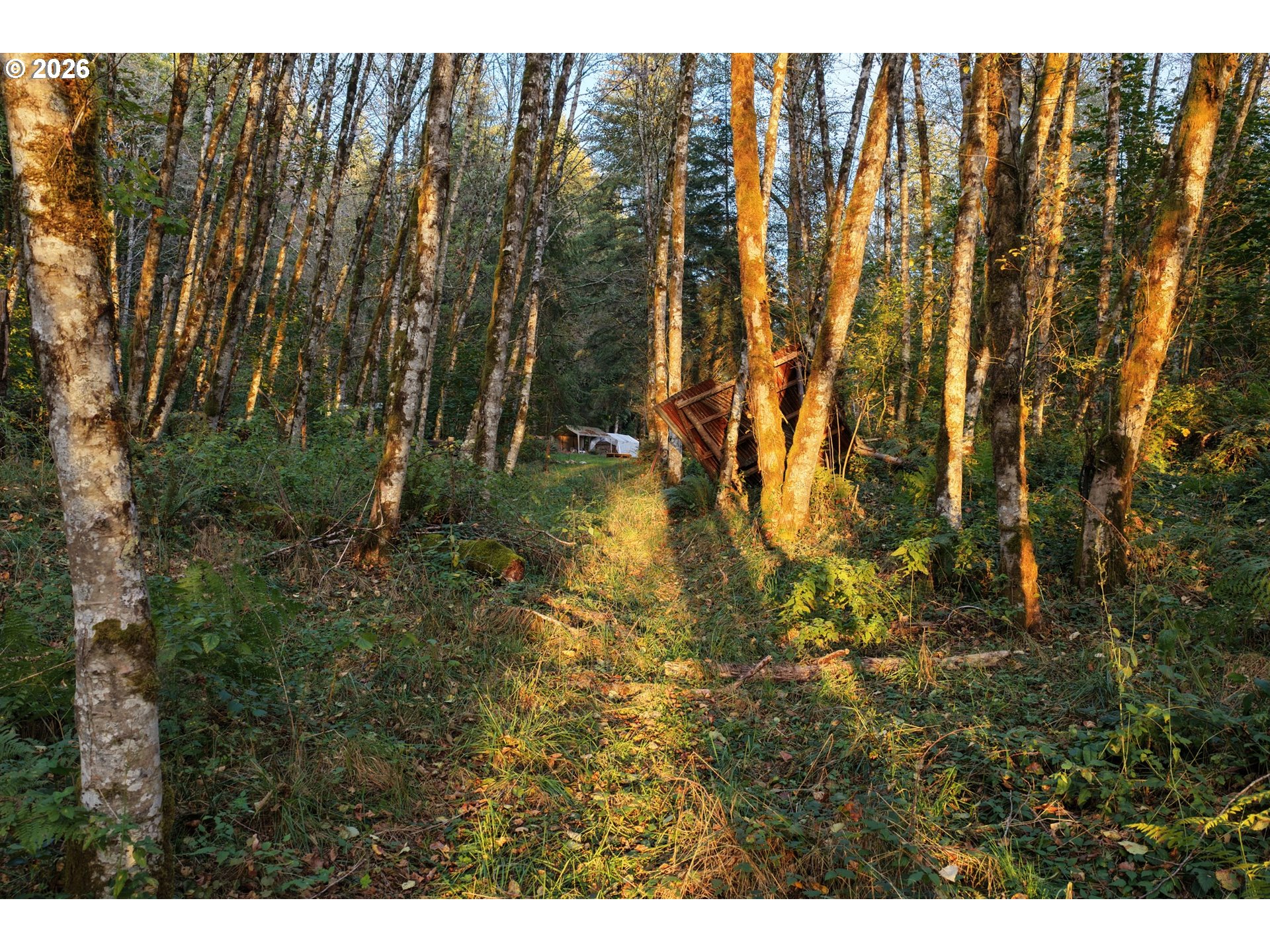 17808 Ne Cedar Creek Rd Property Photo 10