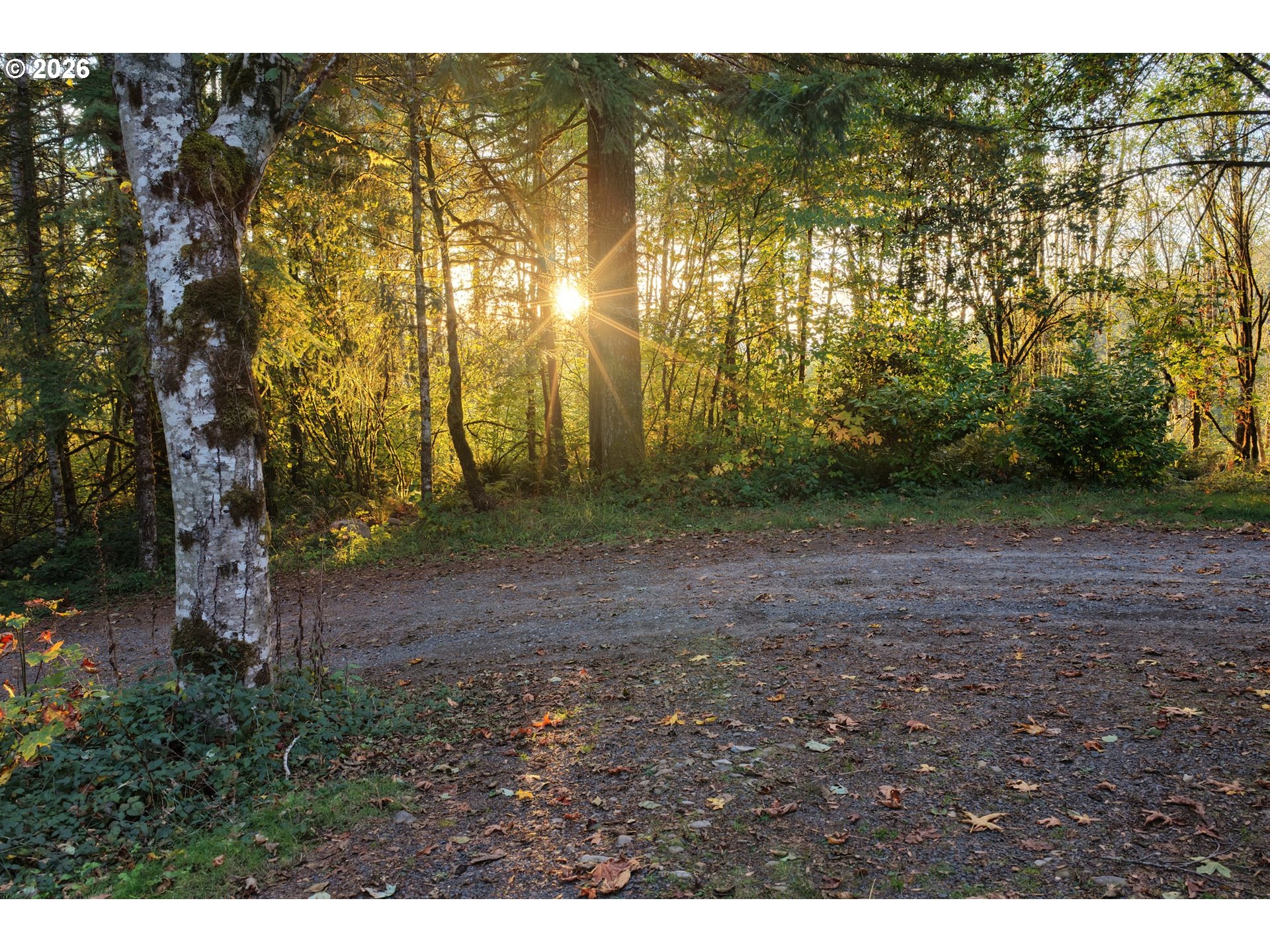 17808 Ne Cedar Creek Rd Property Photo 12