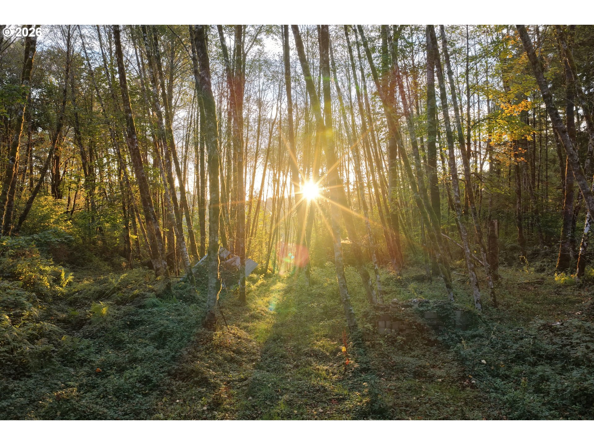 17808 Ne Cedar Creek Rd Property Photo 13