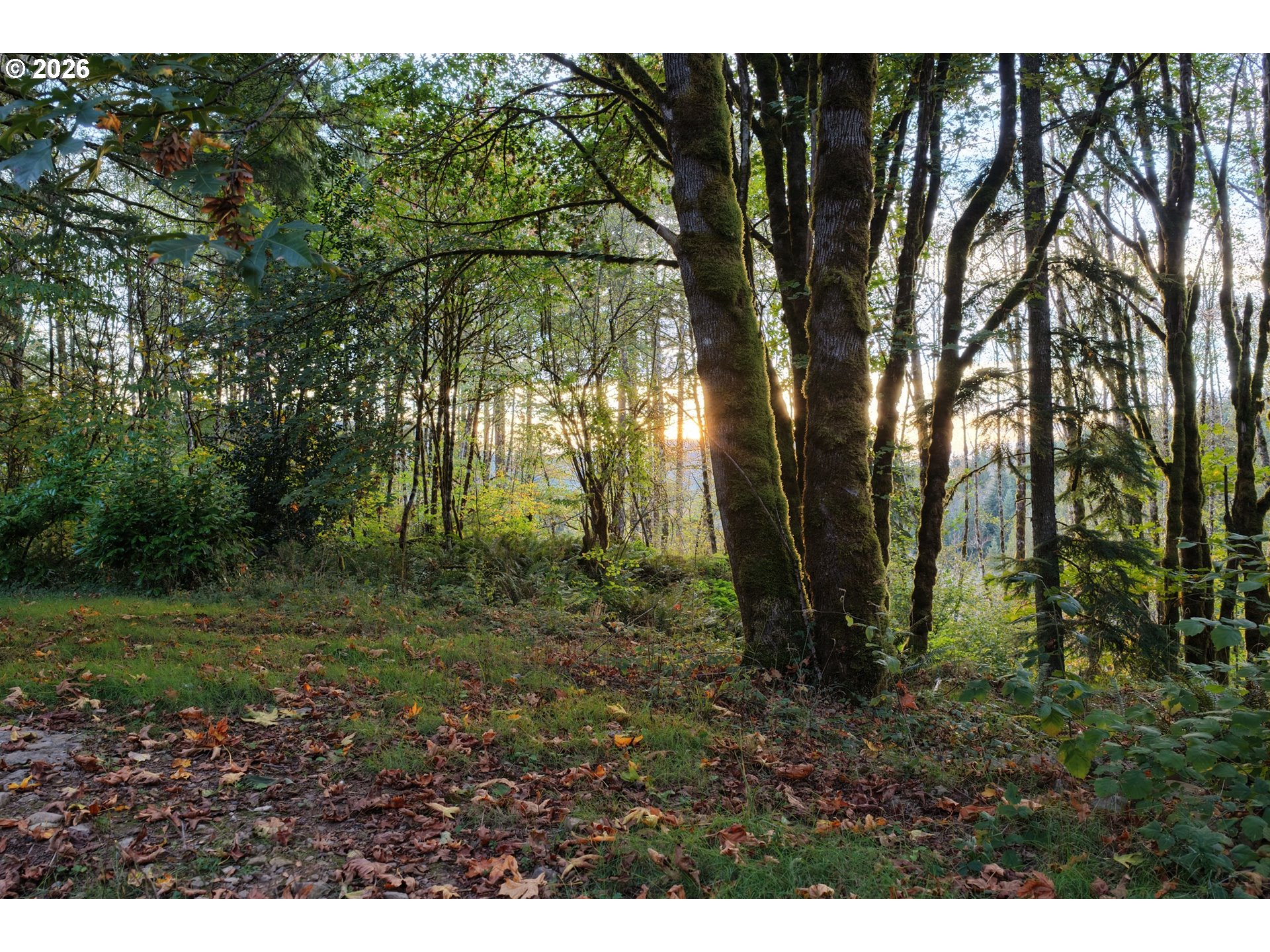 17808 Ne Cedar Creek Rd Property Photo 14