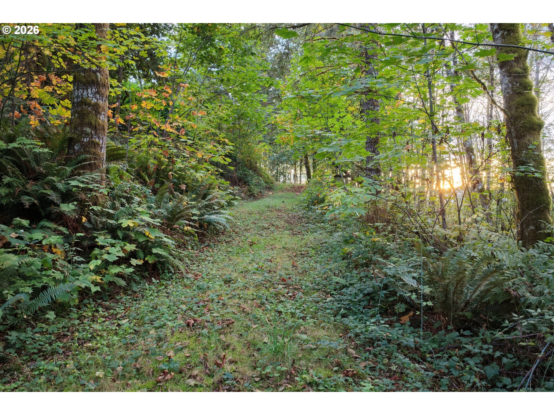 17808 Ne Cedar Creek Rd Property Photo 15