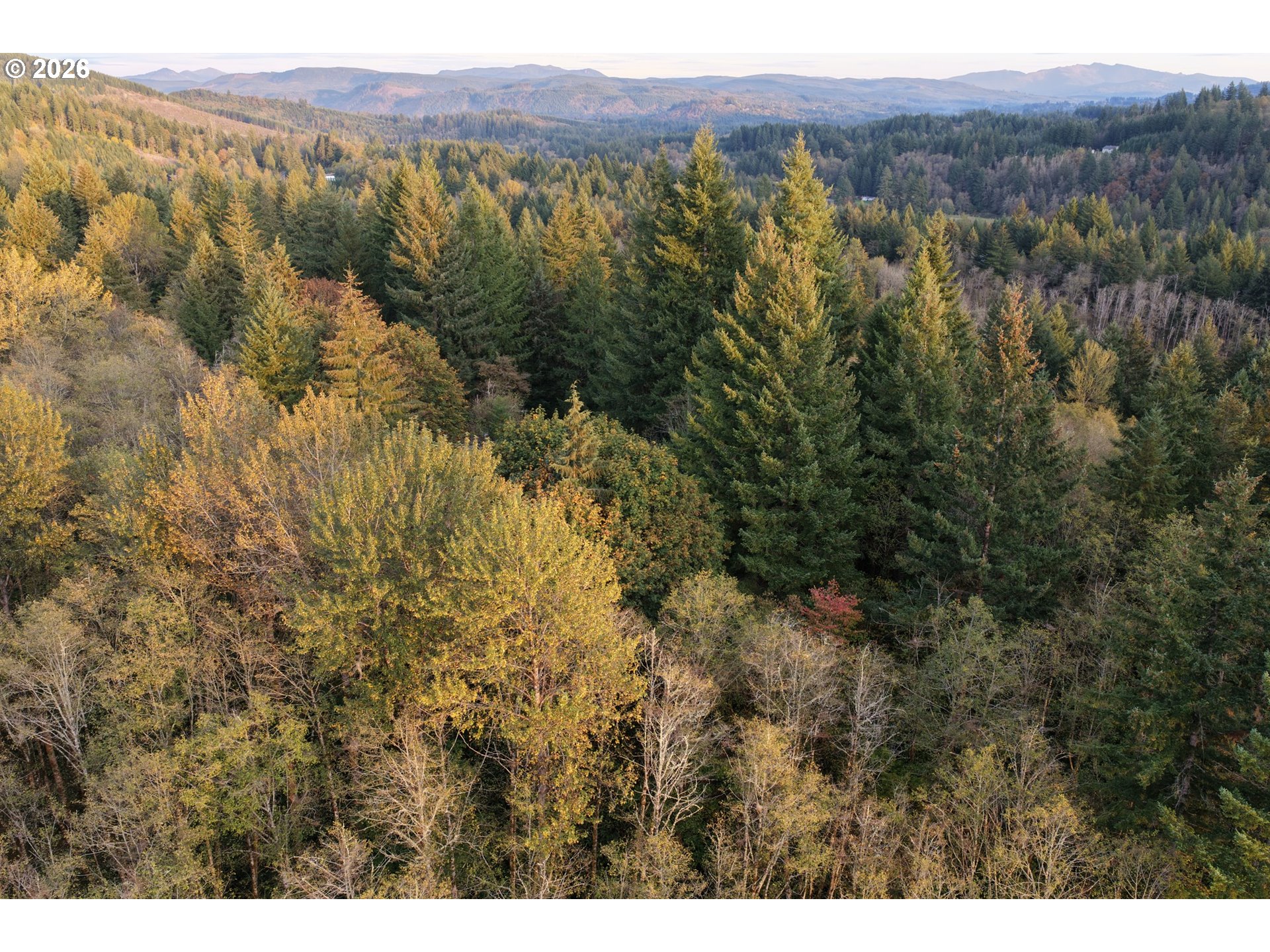 17808 Ne Cedar Creek Rd Property Photo 19