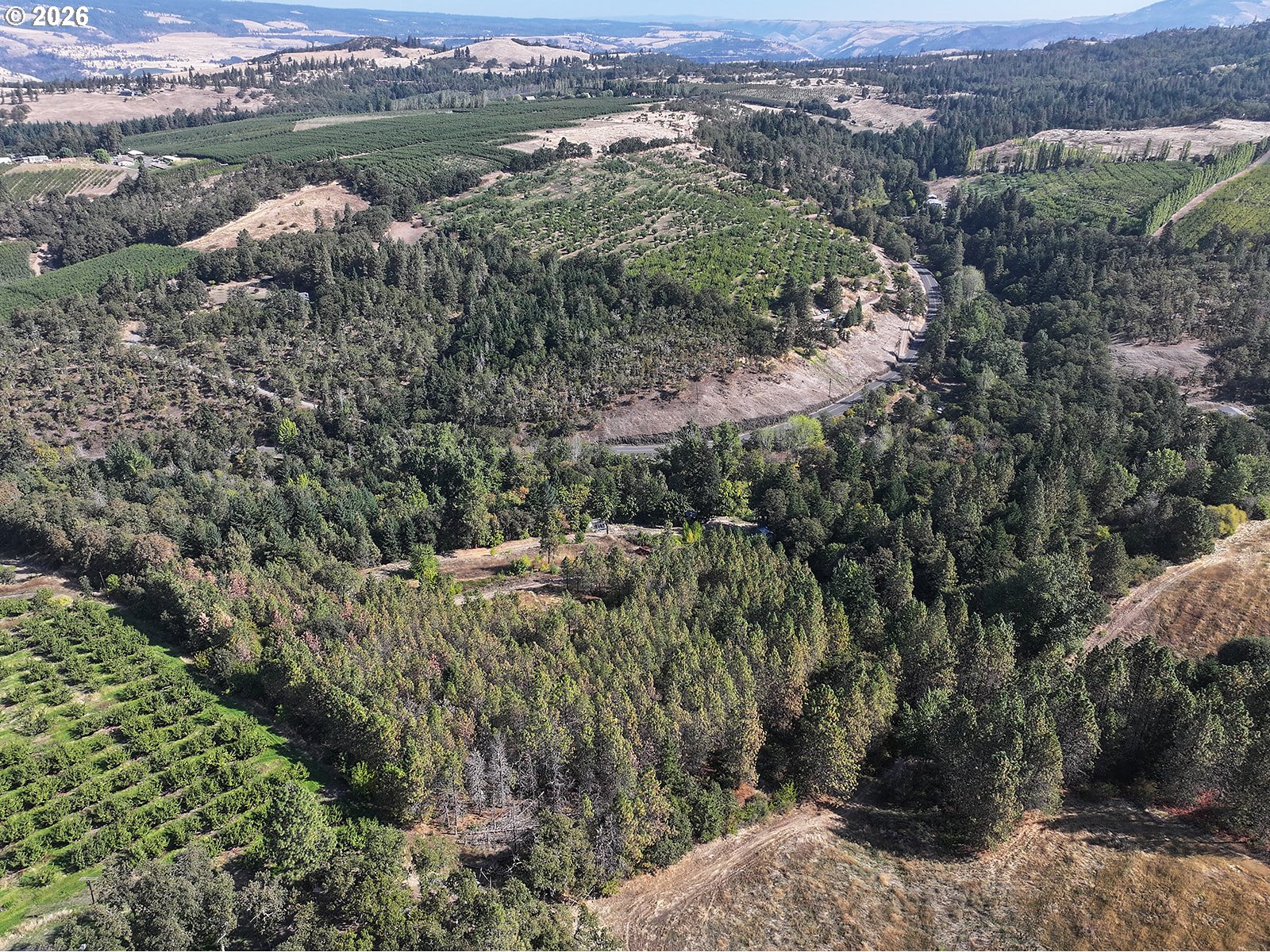 1250 Dry Creek Rd Property Photo 6