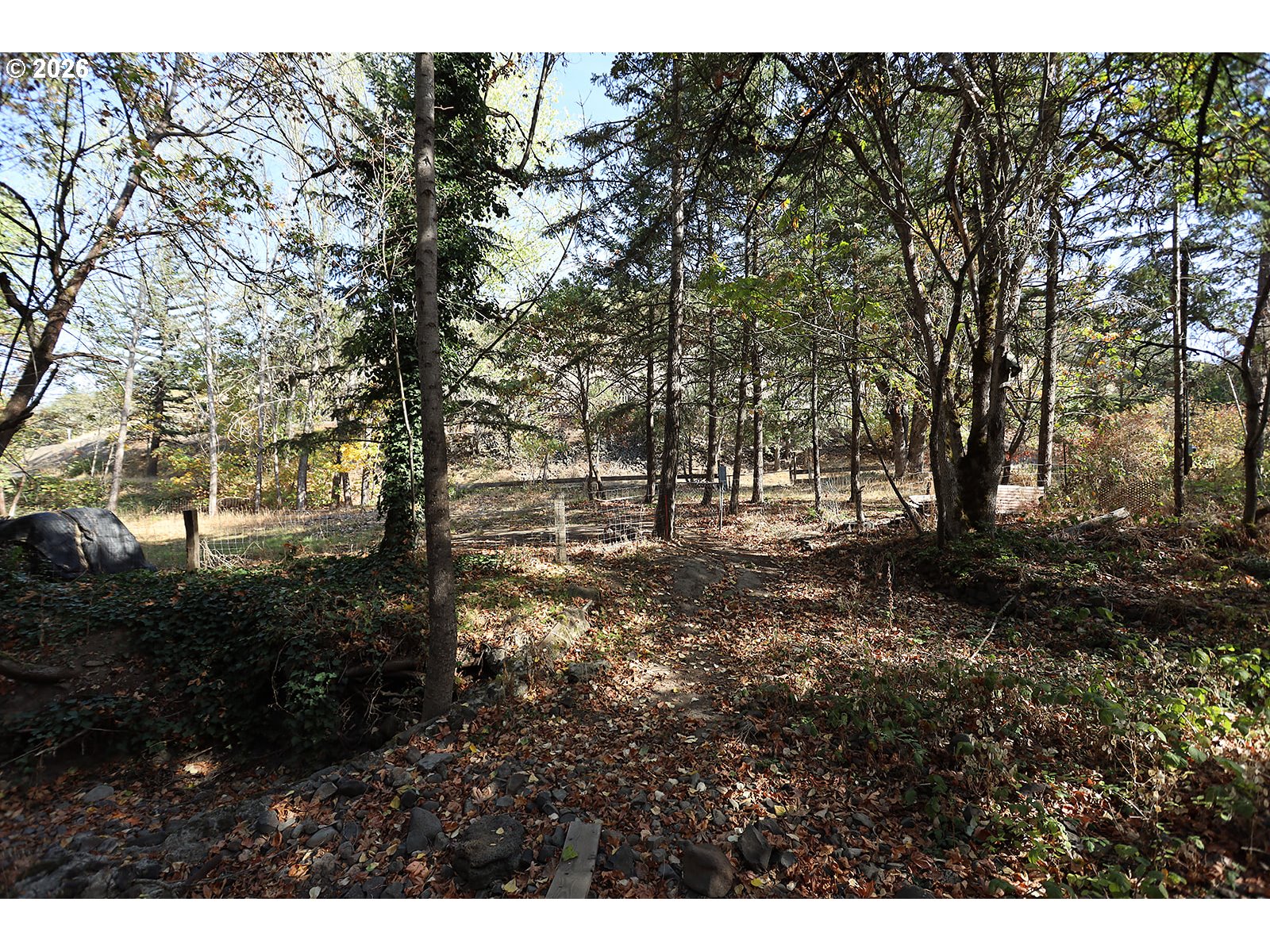 1250 Dry Creek Rd Property Photo 17